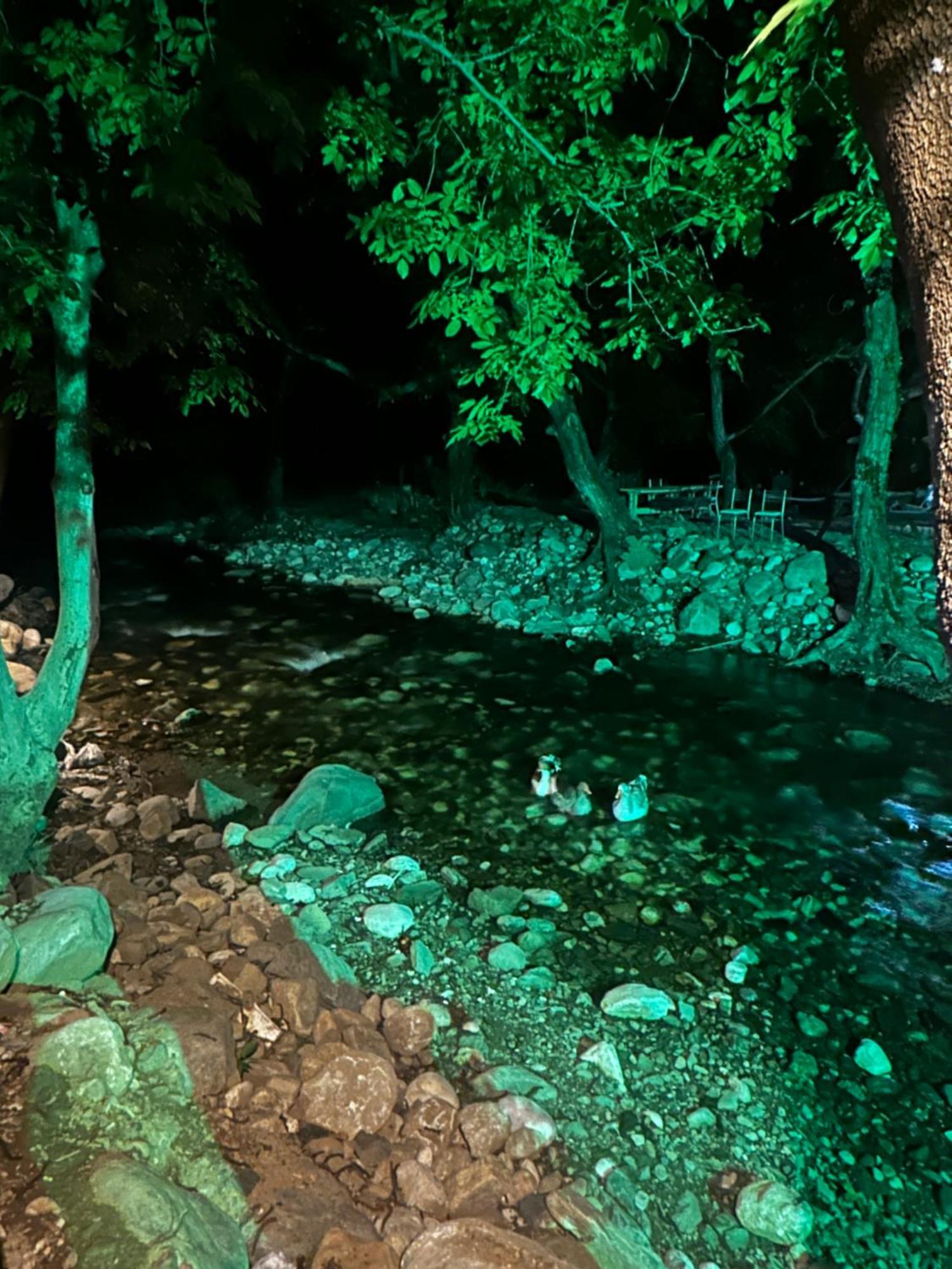 Sakliderebutikotel Edremit  Buitenkant foto