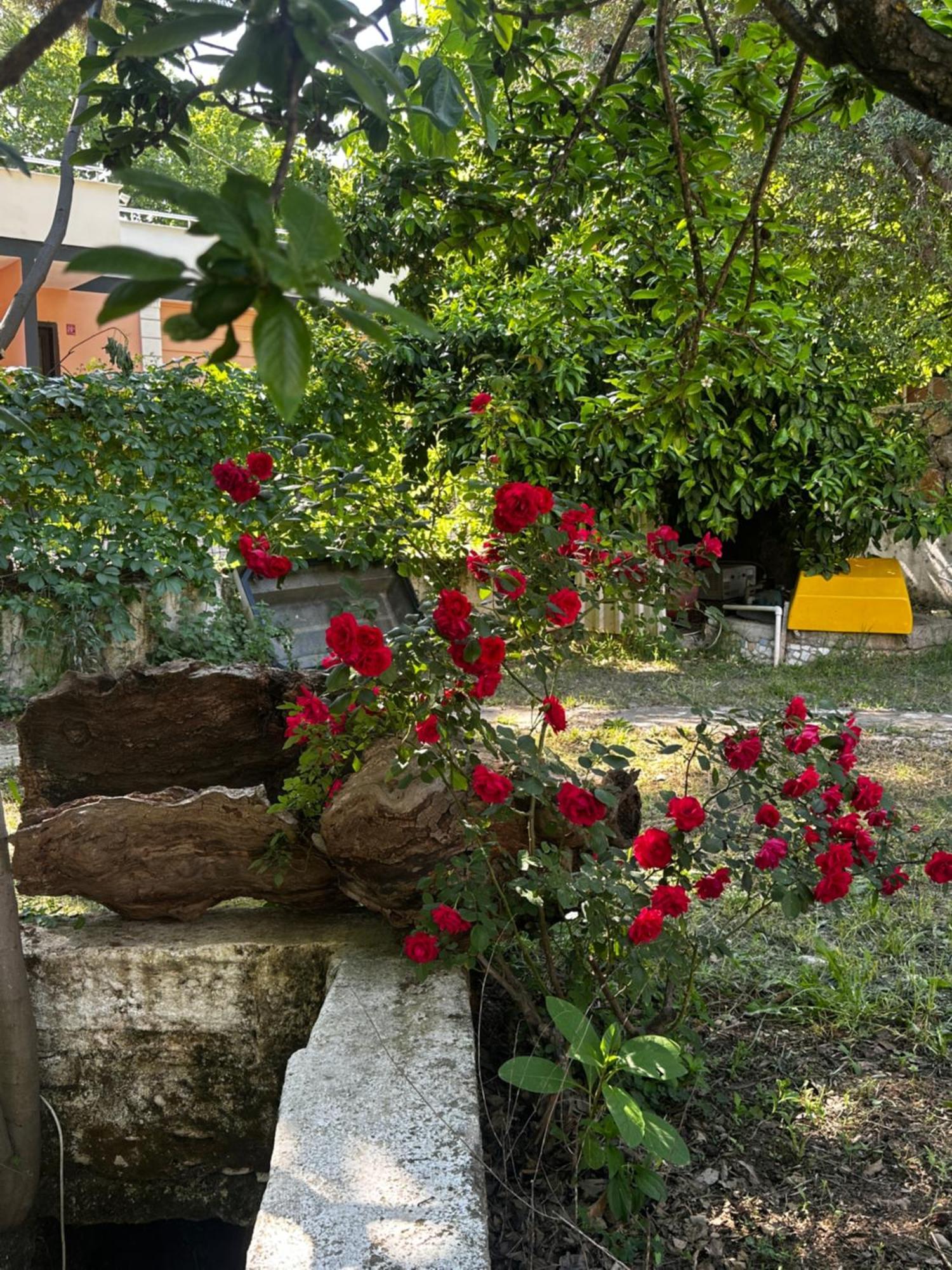 Sakliderebutikotel Edremit  Buitenkant foto